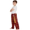 Intimo Harry Potter Boys Houses Plaid Pajama Lounge Pants - 2 of 4