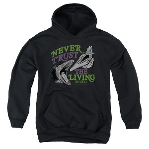 Boys’ Beetlejuice Never Trust Hooded Sweatshirt - 1 of 4