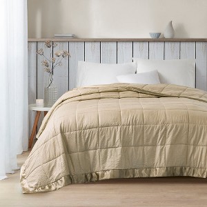 BAFODE Oversized Down Alternative Blanket with Satin Trim,All Season Duvet, Lightweight Quilt, Down Alternative Hotel Comforter,  Full/Queen/King - 1 of 4