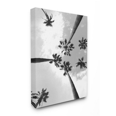 Stupell Industries Black and White Sky Through Palm Trees