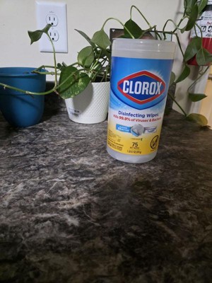 Guest review image 2 of 3, zoom in