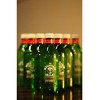 The Mountain Valley - Spring Water - 500 ML Plastic Bottle (Pack of 24) - 3 of 4