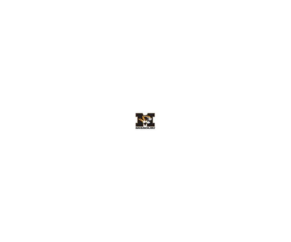 NCAA Missouri Tigers Necktie