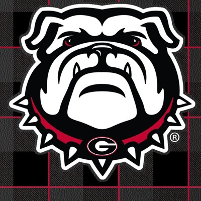georgia bulldogs uga