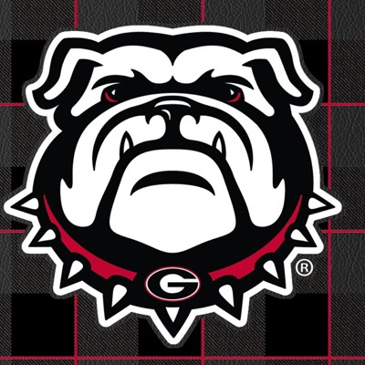georgia bulldogs uga