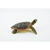 Collectible Wildlife Gifts | Turtle, Hawksbill Sea Turtle, Rubber Reptile, Realistic Toy Figure, Model, Hand Painted, Gift,    2 1/2"  CH417 BB108 - 4 of 4