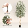 Faux Olive Tree Artificial Indoor, 4/5/6/7ft Tall Fake Olive Tree with Moss - 4 of 4