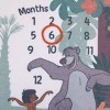 NoJo Disney Jungle Book Green and White Too Much To Bear Super Soft Photo Op Milestone Baby Blanket - 4 of 4