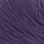 2000 - viola