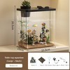 Mini Desktop Rectangular Fish Tank Aquarium Starter Kit with Pump for Shrimp Small Fish, LED Light, Simulated Water Plants, Black - 2 of 4