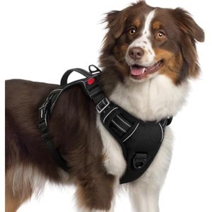 rabbitgoo Dog Harness for Large Dogs, , Easy Walking Harness with 2 Leash Clips, Black, XL - 1 of 1