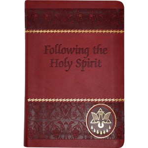 Following the Holy Spirit - by  Walter Van De Putte (Paperback) - 1 of 1