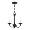 Livex Lighting Home Basics 3 - Light Chandelier in  Black - 4 of 4