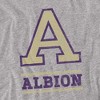 Men's Albion College Official Distressed Primary Logo T-Shirt - 2 of 4