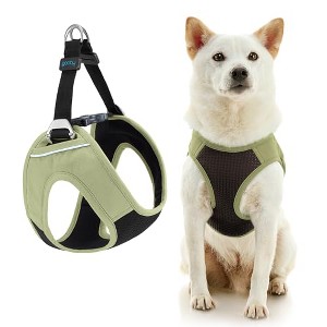 Gooby Escape Free Easy Fit Plus Harness Portland Green, X - 1 of 1