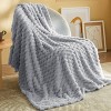 Bedsure Blanket for Bed - Super Soft, Cozy Blankets for Women, Cute Fleece - 2 of 4