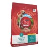 Purina ONE SmartBlend Natural Digestive & Probiotic Health Rice and Chicken Flavor Dry Dog Food - image 3 of 4