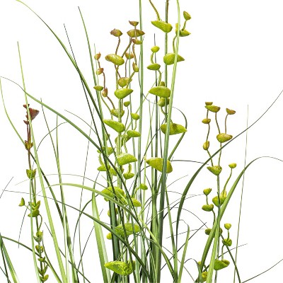 36" Green Plastic Potted Grass and Eucalyptus Arrangement