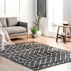 Nuloom Malia Pet Friendly Machine Washable Moroccan Area Rug - 2 of 4