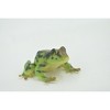 Collectible Wildlife Gifts | Frog, Amphibians, Green & Brown, High Quality, Hand Painted, Rubber, Realistic, Model,  Toy, Gift,  2 1/2"   RI30 B177 - 4 of 4