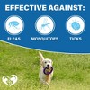 Beloved Pets Flea & Tick Support, Natural Chewable Pills for Dogs, 10 Oz - 1 Pack - 3 of 4