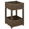 vidaXL Raised Bed 15.7"x15.7"x28" Polypropylene - 2 of 4