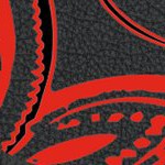 texas tech red raiders