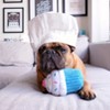 ZippyPaws Cupcake Dog Toy - Blue - 2 of 4