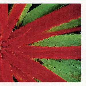 Jejune - This Afternoons Malady (Vinyl) - 1 of 1