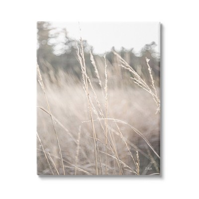 Stupell Tall Grass Countryside Field Gallery Wrapped Canvas Wall Art