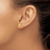 Black Bow Jewelry 6mm Polished Half Ball Post Earrings in 14k Yellow Gold - 3 of 4