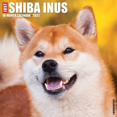 2022 Wall Calendar Just Shiba Inus - Willow Creek Press