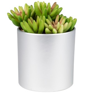 Northlight 4.75" Potted Red and Green Artificial Sedum Succulent - 1 of 4
