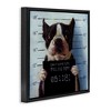 Stupell Industries Boston Terrier Jail Convicted Mugshot, 18" x 18" - 3 of 4