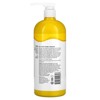 Alba Botanica Hawaiian Detox Body Wash Volcanic Clay - 32 fz - 2 of 4