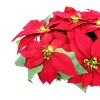 Puleo 24" Pre-Lit Battery-Operated Artificial Red Poinsettia Window Box Decor - 4 of 4