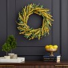 Spring Tillie Pokeberry 24in Wreath w/ Artificial Wild Grasses - 2 of 4