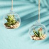 6 Pack Hanging Glass Terrarium, Glass Orbs for Succulent Plants, Tealight Candles, Indoor Outdoor House Decor, 2.7 x 2.7 x 3.1 inches - image 2 of 4