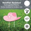 Big Dot of Happiness Rodeo Cowgirl - Cowboy Boots, Hat, and Horseshoe Lawn Decorations - Outdoor Pink Western Party Yard Decorations - 10 Piece - 3 of 4