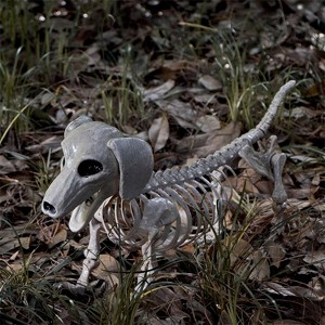 Joyfy 24” Halloween Posable Animal Wiener Dog Skeleton Decor Dog Plastic Bones with Movable Joints for Graveyard Haunted House Party Prop - 1 of 4