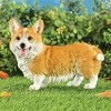 Collections Etc Realistic Detailed Adorable Corgi Puppy Decorative Statue Brown - 2 of 3