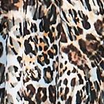 rich brown animal