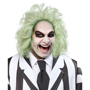 Rubies Men's Beetlejuice Beetlejuice Wig- One Size Fits Most - 1 of 4
