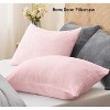 LISM 20x26 Inches Flannel Pillowcases with Zipper,Cozy Fuzzy Velvet Standard Pillow Shams Set of 2 - 2 of 4