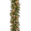 National Tree Company 9 ft. Glittery Mountain Spruce Garland with Clear Lights - 4 of 4