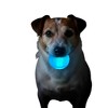 Strobe Ball Ultra Durable PUP-X Chewing, Floating & Retrieving Ball - 3 of 3