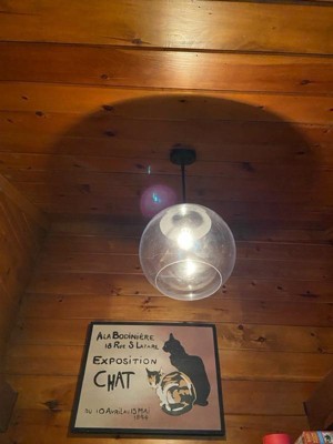 Guest review image 4 of 5, zoom in