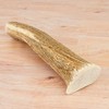 Chasing Our Tails Elk Antler Large for Dogs 1 Count - 2 of 4