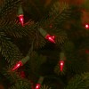 Novelty Lights 50 Feet 100 Bulbs Incandescent Mini Lights, Green Wire with 6" Spacing, UL Listed for Indoor/Outdoor Use, Connectable - 3 of 4