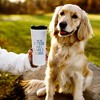 Pavilion Gift Company - Lake Dog - 17 oz Stainless Steel Travel Tumbler - Portable Drinkware - 2 of 4